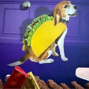 Bootique Festive Taco Dog Costume Petco - Yellow & Green Size L